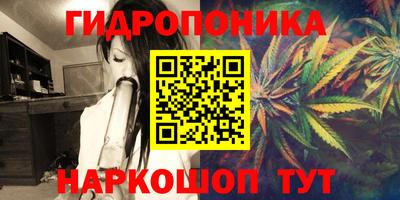 круглые Камышлов