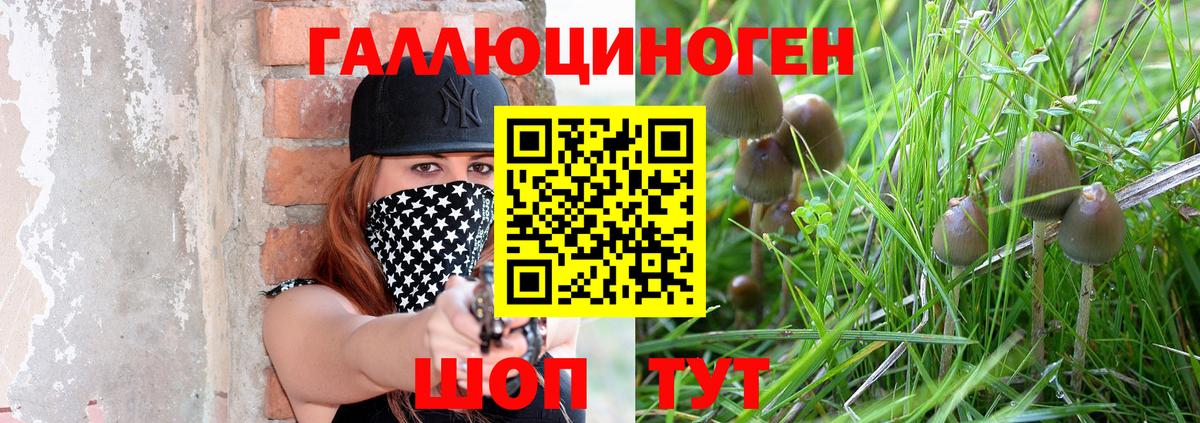 Галлюциногенные грибы MAGIC MUSHROOMS Лыткарино