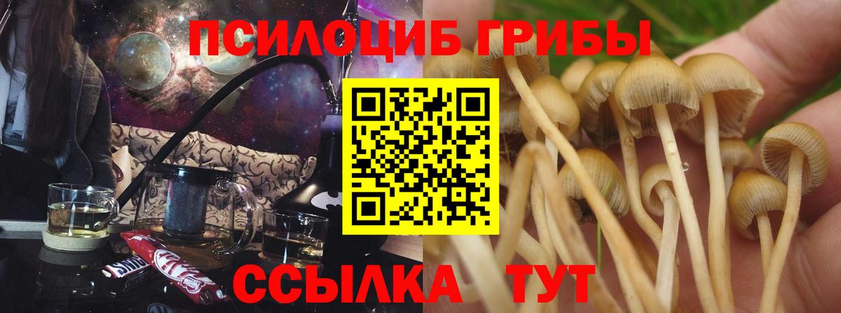 Лыткарино  Псилоцибиновые грибы GOLDEN TEACHER  Галлюциногенные грибы прущие грибы  Вход с VPN 